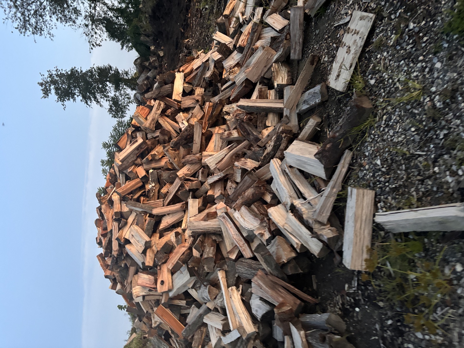 Firewood stacked outdoors for seasoning