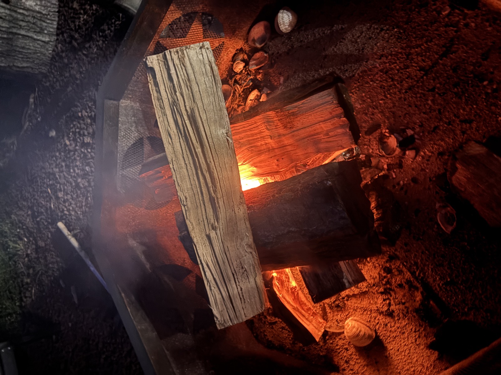 Seasoned firewood burning in a fire pit