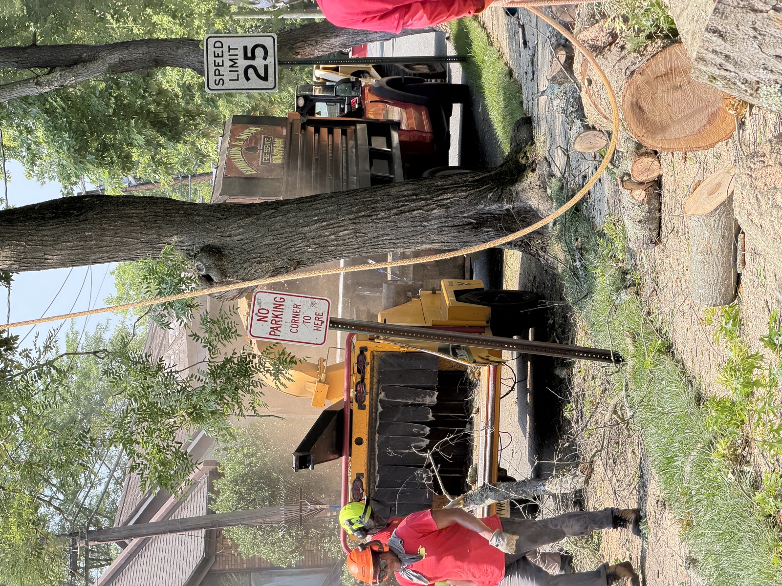 Edwards & Sons Pro crew loading brush into the chipper truck